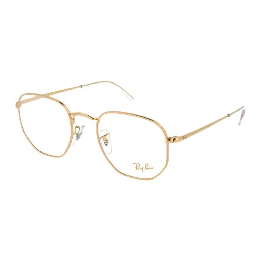 RayBan Hexagonal Frame Glasses