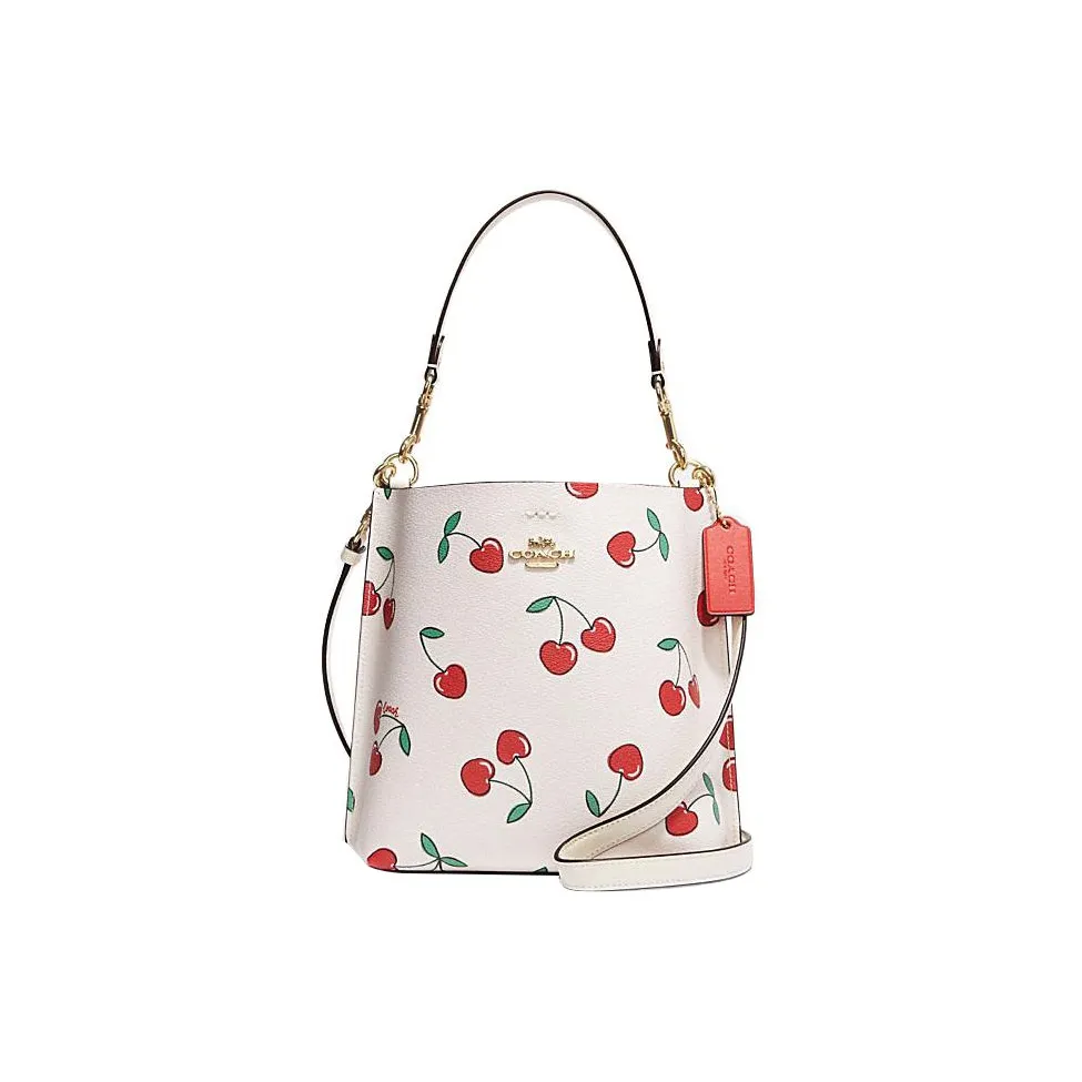 COACH Mollie Artificial Leather Bucket Bags Handbags Shoulder Bag Crossbody Bag Small Size Women's White