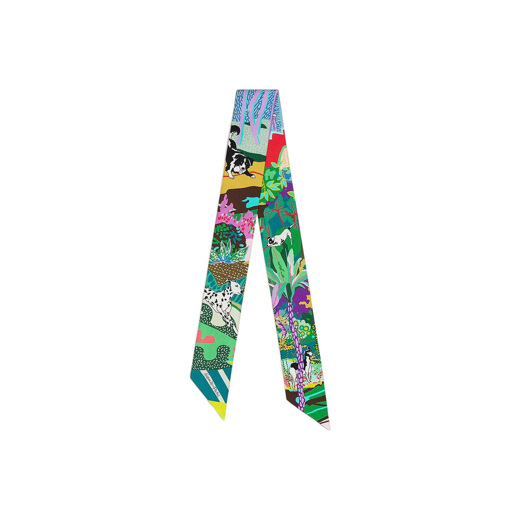 HERMES Twilly Шелковые Шарфы Женские Зеленый