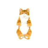 슬리피 단모 고양이 온 랩 (베이지) P8232
