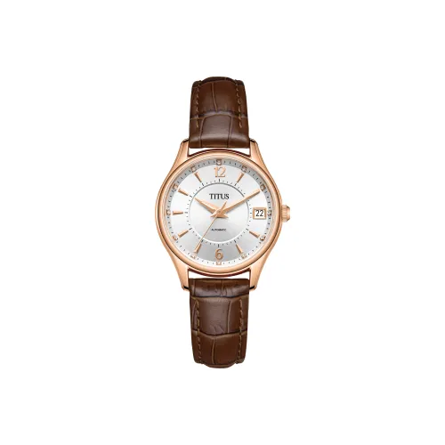 Solvil Et Titus Автоматический Механический Movement Женские Часы 30MM*35mm*11,1mm Серебряный