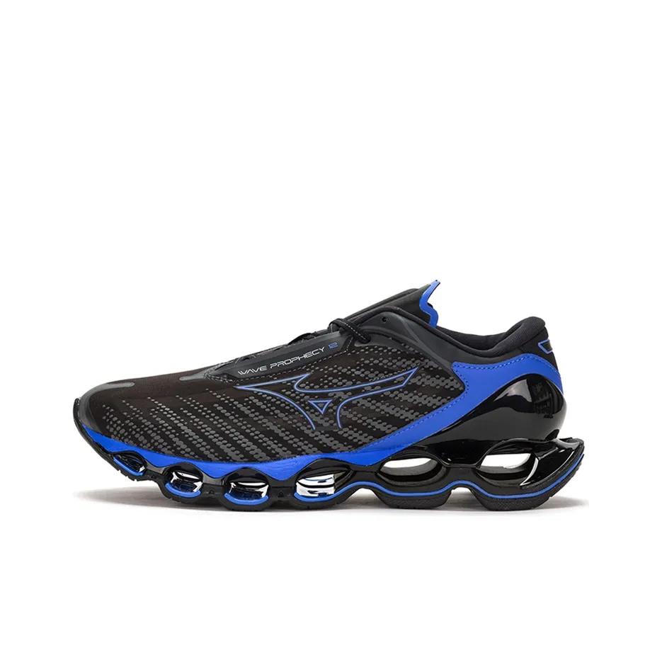 Кроссовки для бега Mizuno Wave Prophecy 12S, низкий топ, серый и черный, унисекс