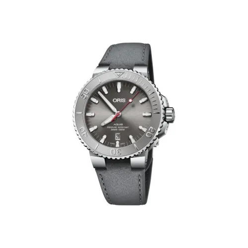 Oris Автоматический Механический Movement Мужские Часы 43,5 мм Серый