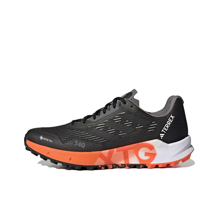 Adidas Terrex Agravic Flow 2.0 Flow Gore Tex 'Black White'