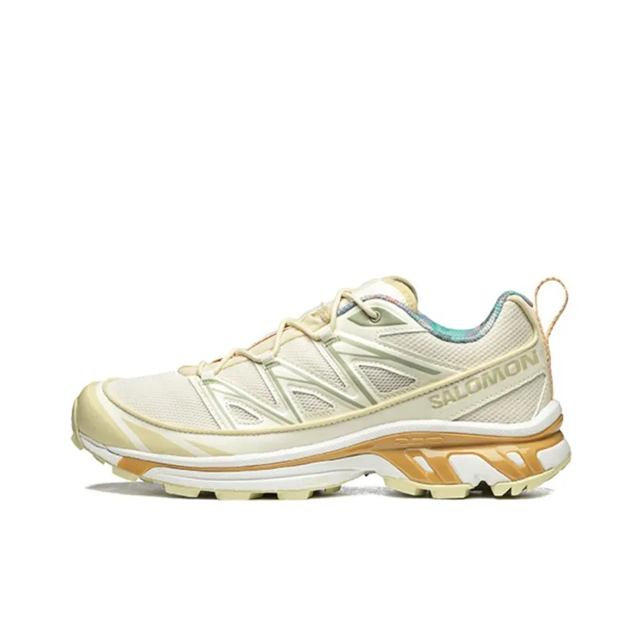 SALOMON XT 6 Expanse Cottage Core 'Cream White'