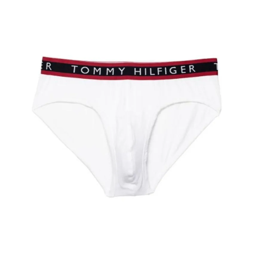 Tommy Hilfiger DW0DW11886C87S