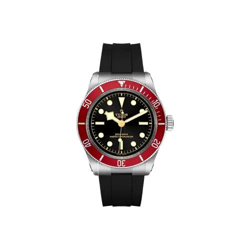 TUDOR Автоматический Механический Movement Мужские Часы из коллекции BLACK BAY, 41 мм, Черный