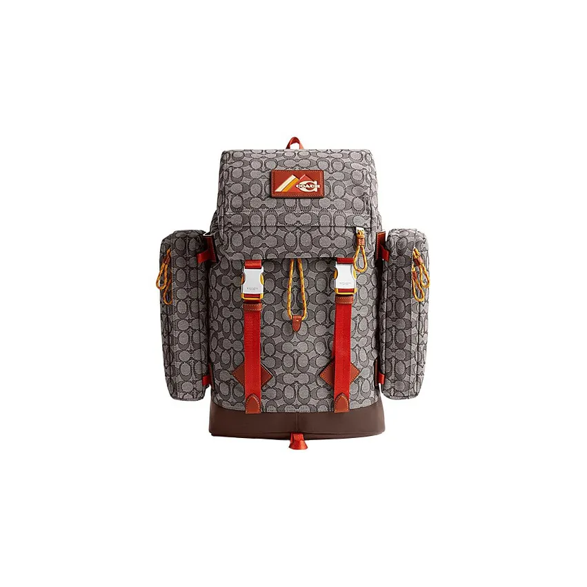 COACH Utility Fabric With Calfskin Travel Bags Backpack Large Size Men
s Gray