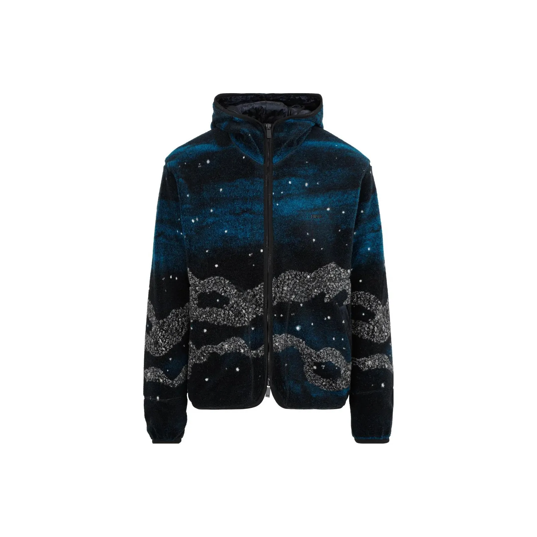 DIOR X Peter Doig Fleece Jacket