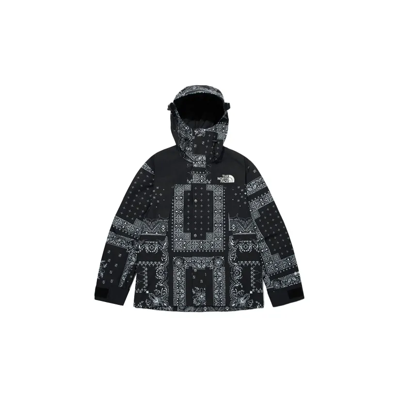 THE NORTH FACE Eco Gtx Mountain Jacket Black Korea Version