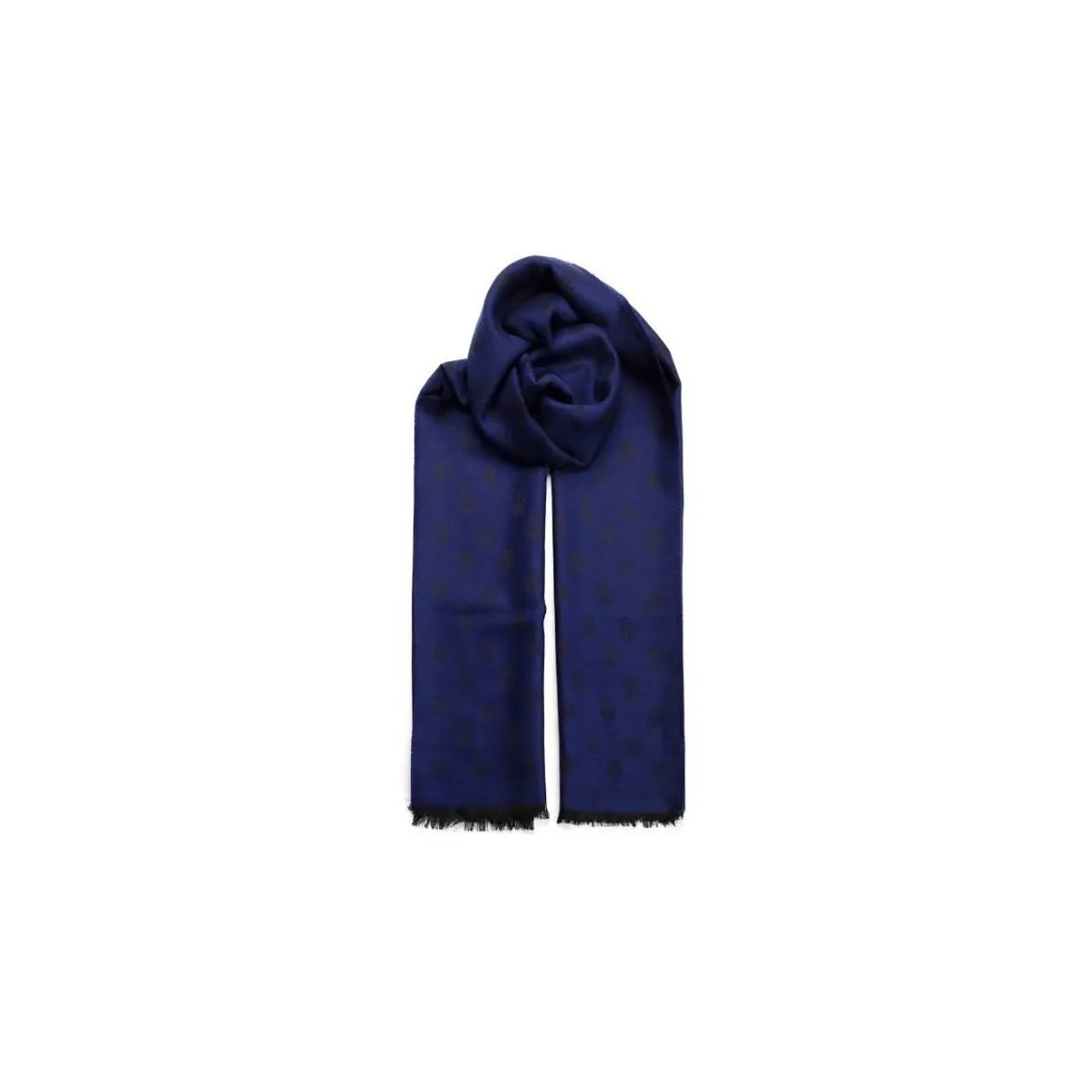 Alexander McQueen Knit Scarves Men's Blue