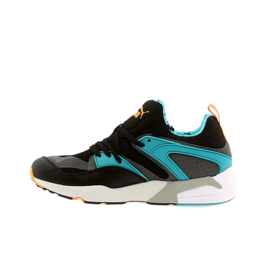 PUMA Blaze Of Glory OG 93 Low Топ Casual Мужской Синий Черный