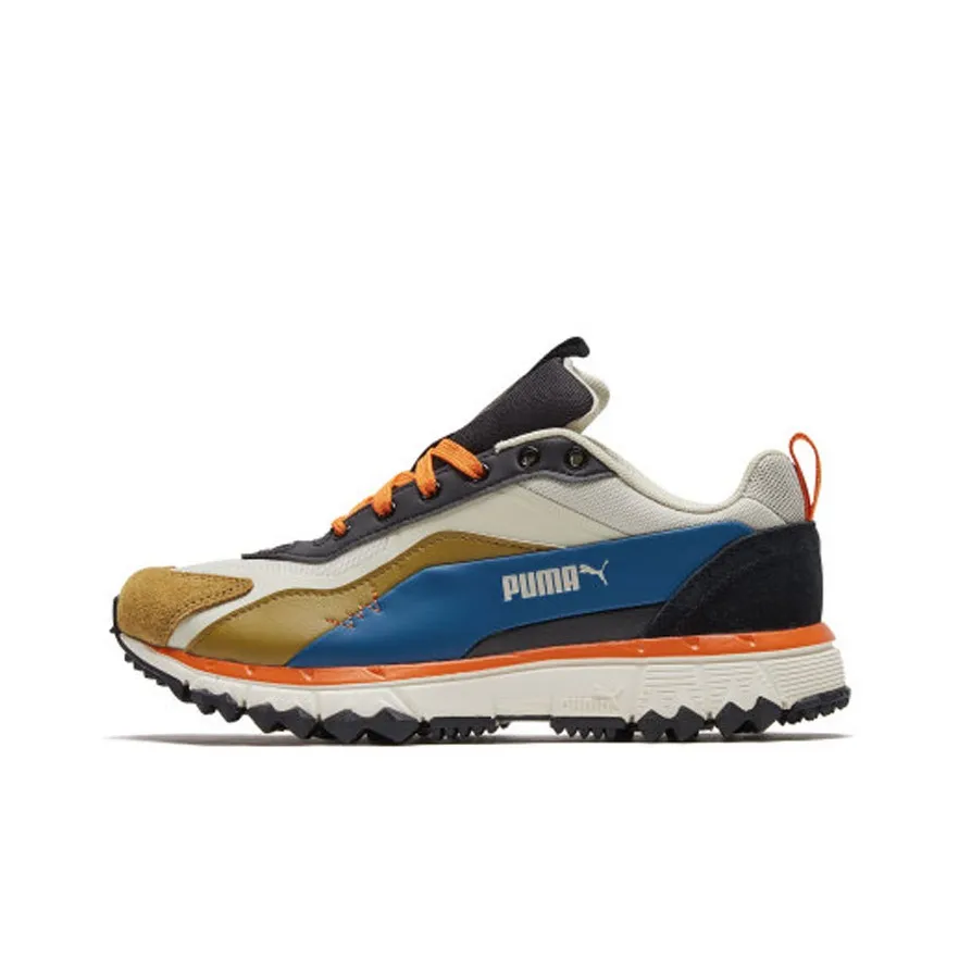 PUMA City Rider Trailwolf Low Топ Casual Унисекс Коричневый Синий