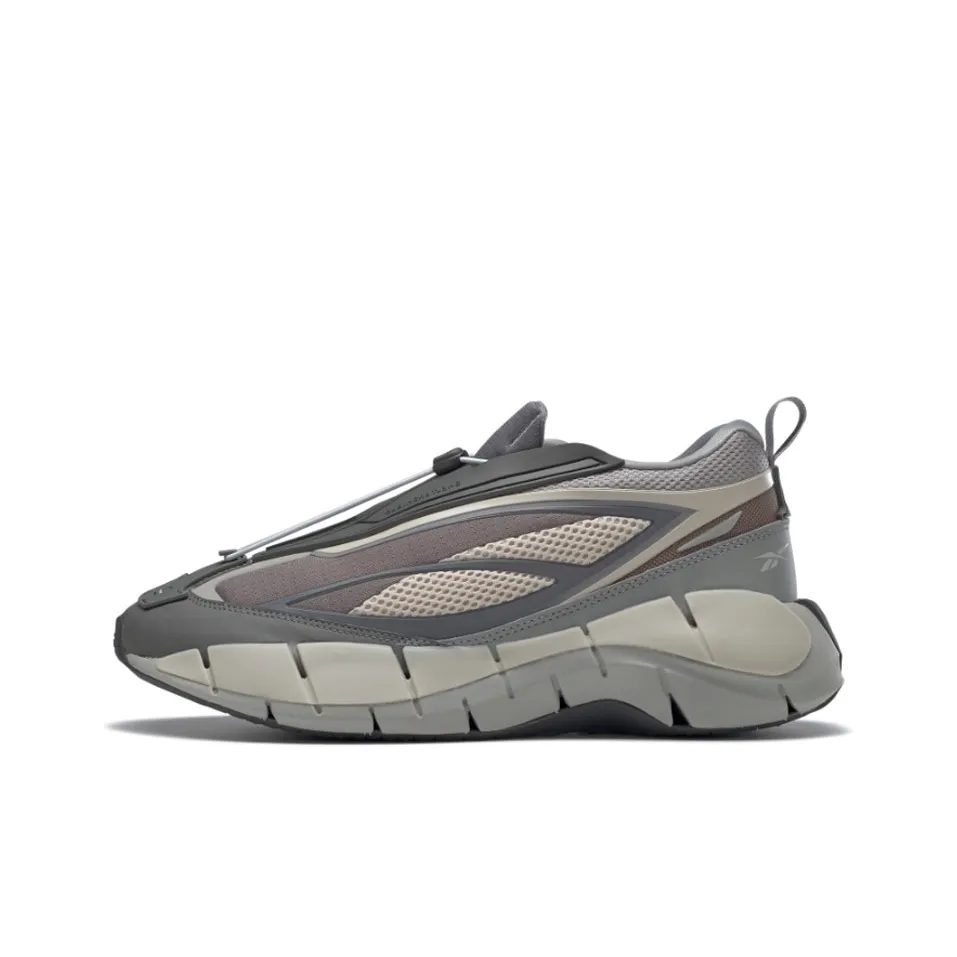 Reebok Zig 3D Storm Hydro Low Топ Повседневная обувь Мужская Серый