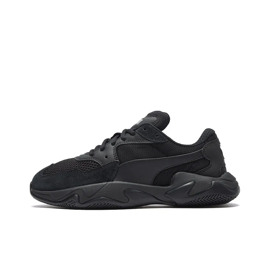 PUMA Storm Low Топ Casual Унисекс Черный Белый