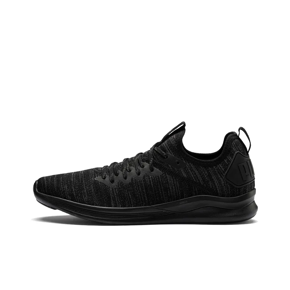 PUMA Ignite Flash EvoKnit 'Black Asphalt'