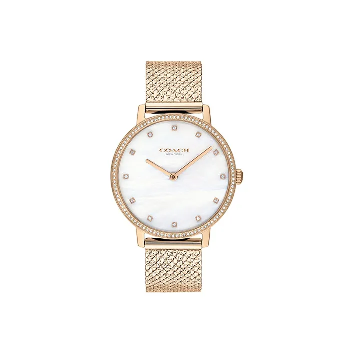 COACH AUDREY Collection Женские часы Кварцевый механизм Ремешок из нержавеющей стали 35 мм Серебристый циферблат