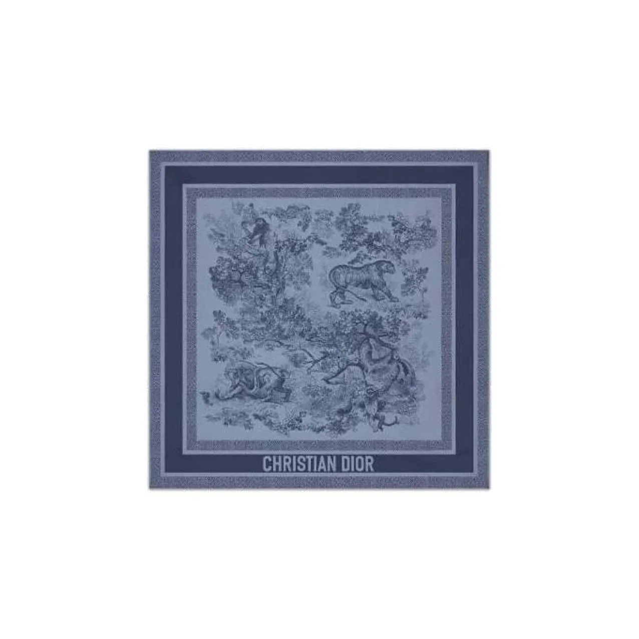 DIOR Шелковые шарфы, синий, женские