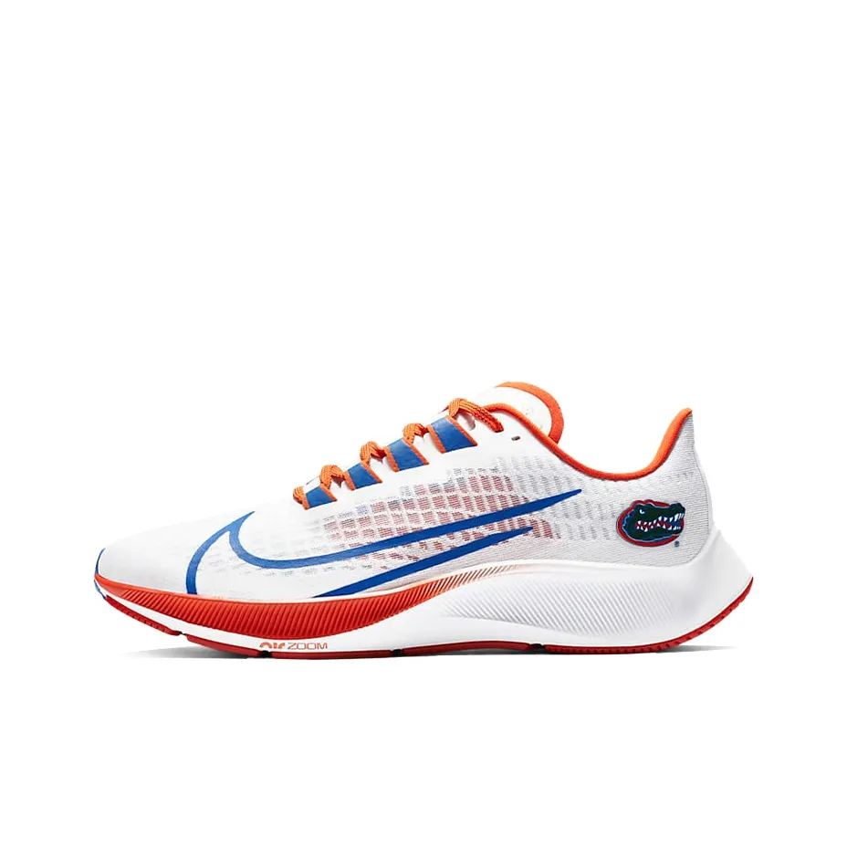 Nike Air Zoom Pegasus 37 Florida
