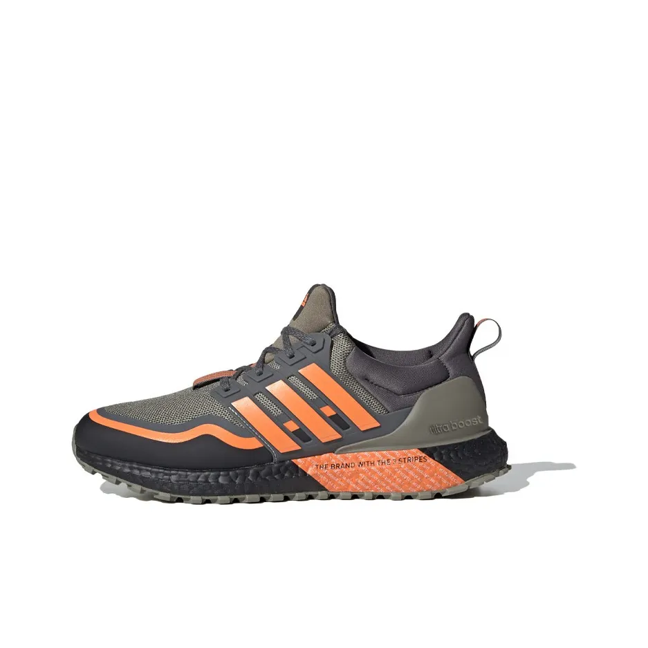 Adidas Ultra Boost All Terrain 'White Green Pink'