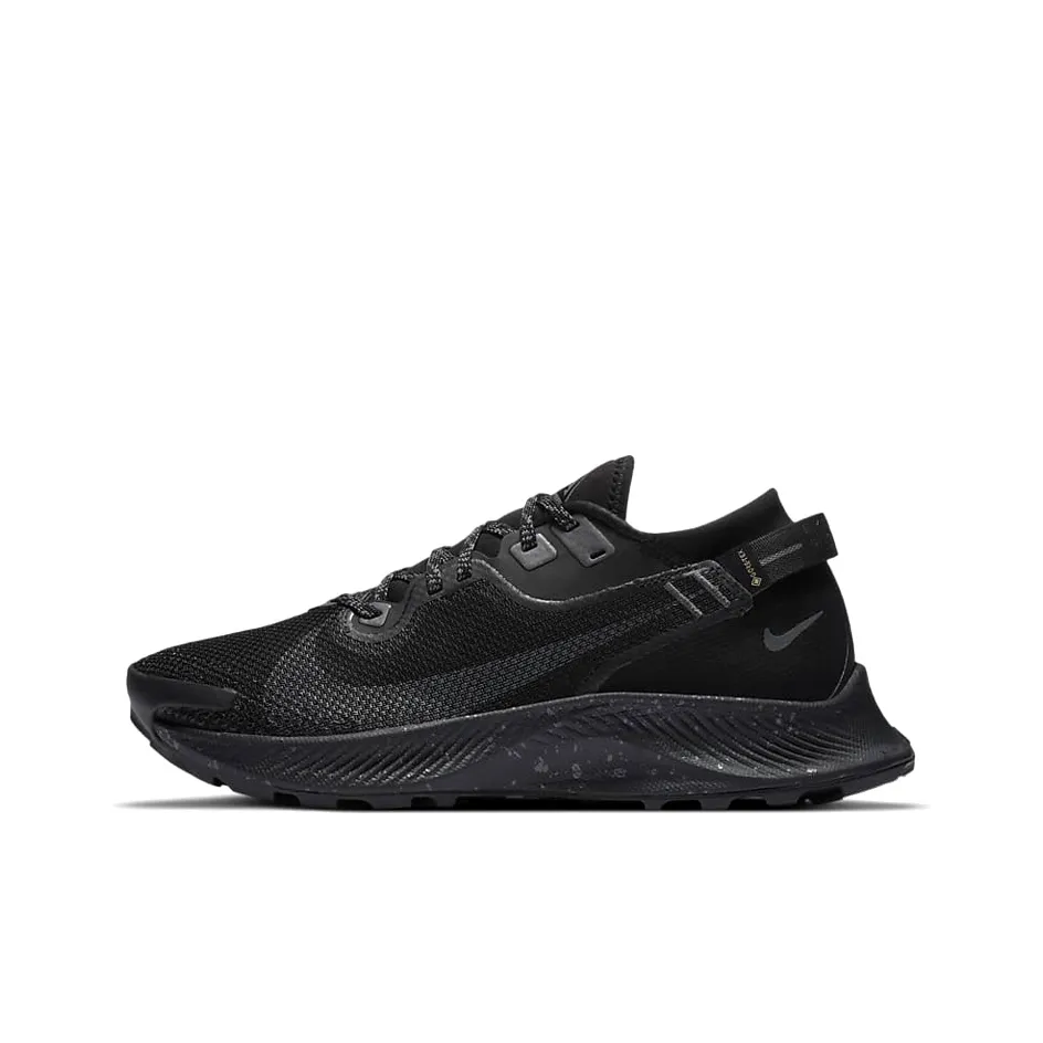 Nike Pegasus Trail 2 Gore Tex Black Metallic Dark Grey Women's