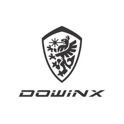 DOWINX