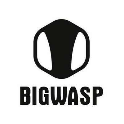 BIGWASP
