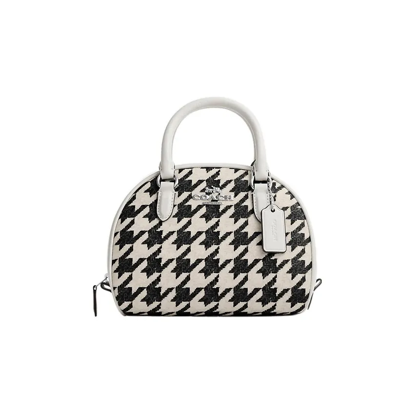 COACH Sydney Покрытый холст с кожаными вставками купольная сумка сумка через плечо маленькая сумка женская черный белый