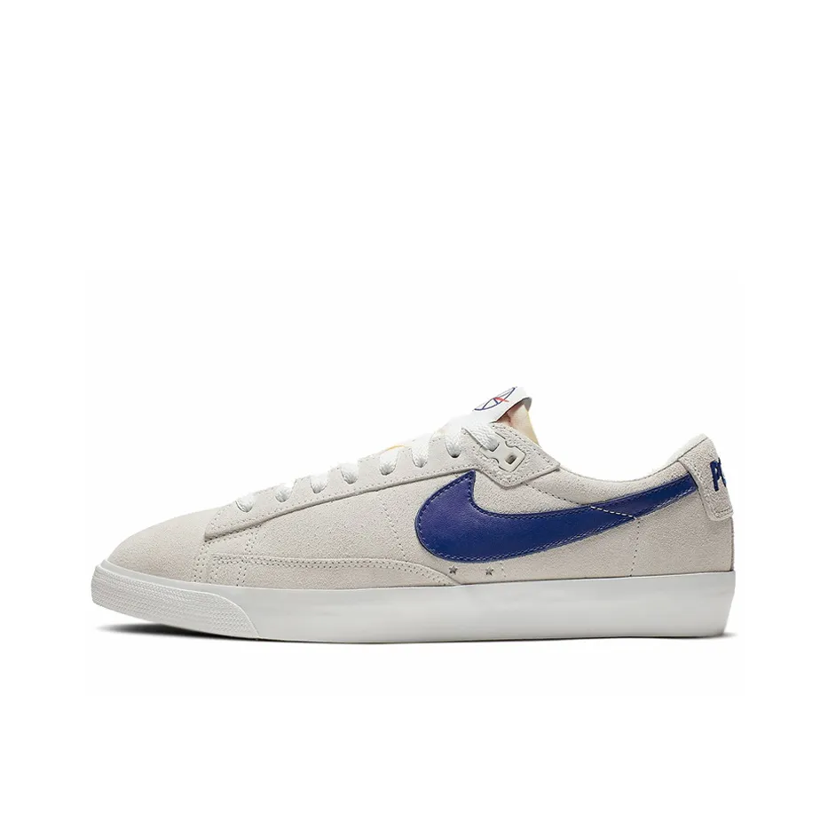 Nike Sb Blazer Low Polar Skate Co