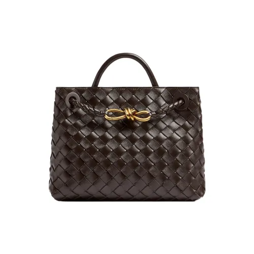 Bottega Veneta Andiamo series Сумки Женские