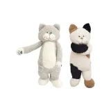 그레이 고양이, 캘리코 고양이