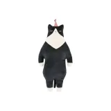 블랙 고양이