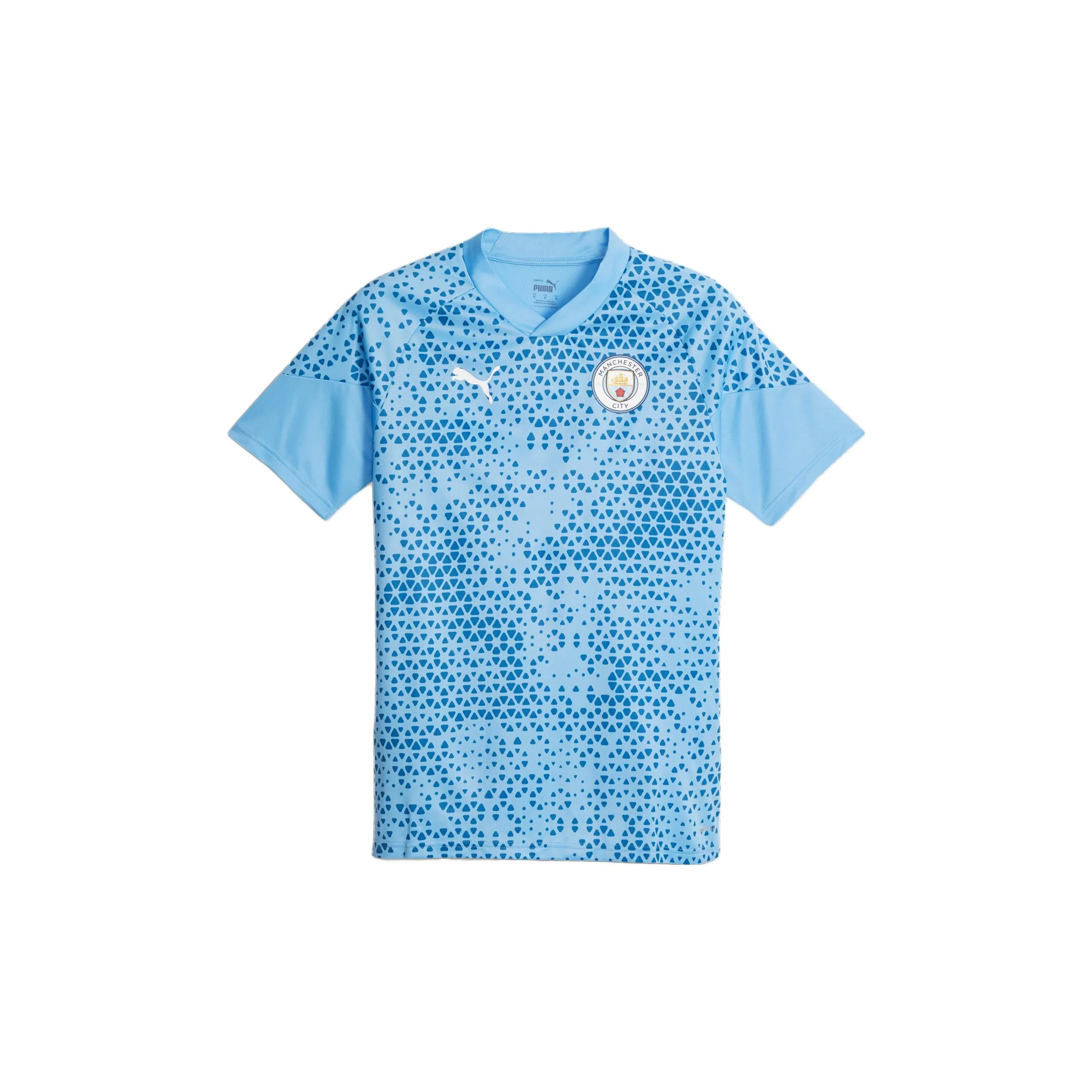PUMA Manchester City Football Soccer Jerseys Men's Lake Blue