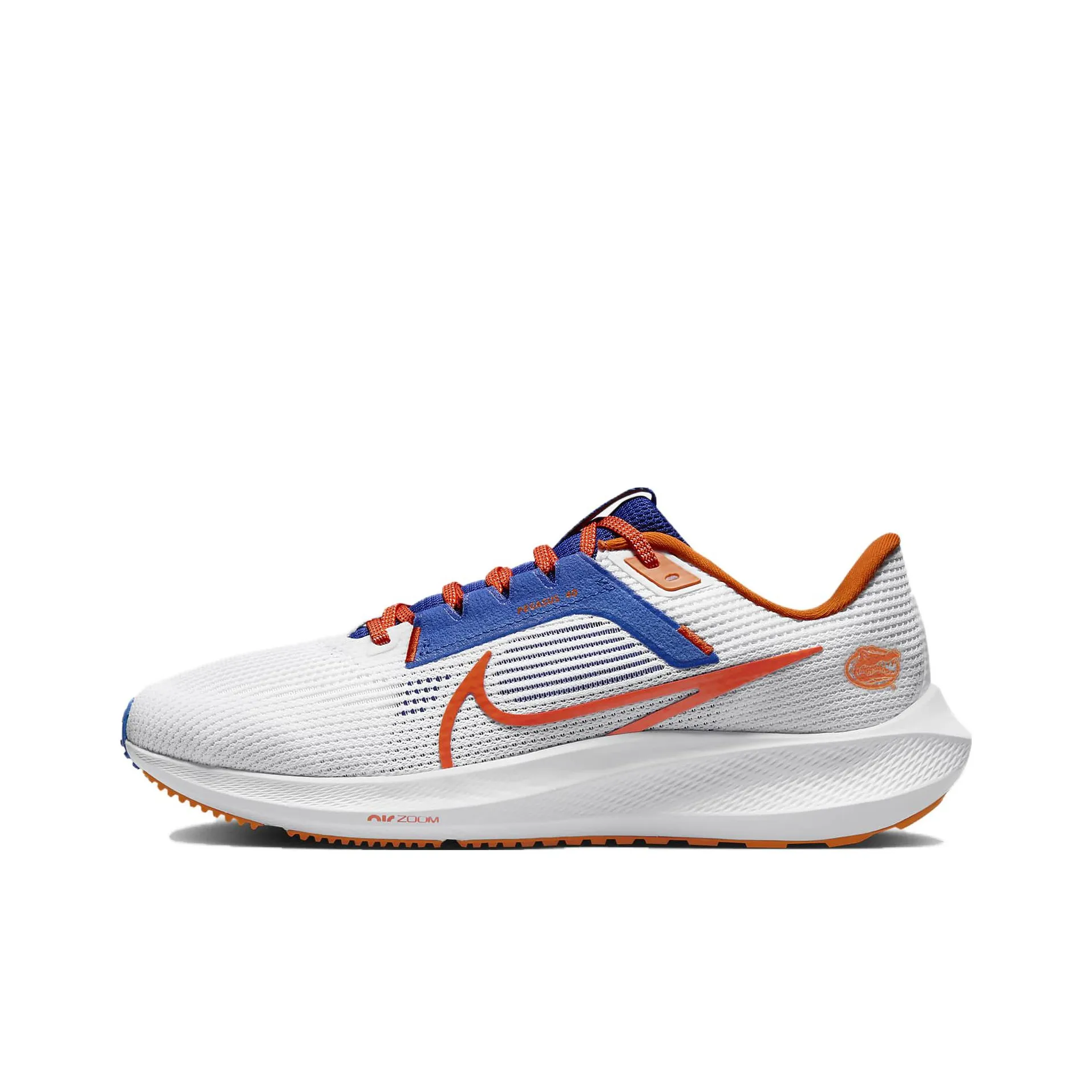 Nike Pegasus 40 Florida