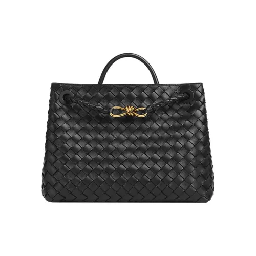 Bottega Veneta Andiamo series Сумки Женские