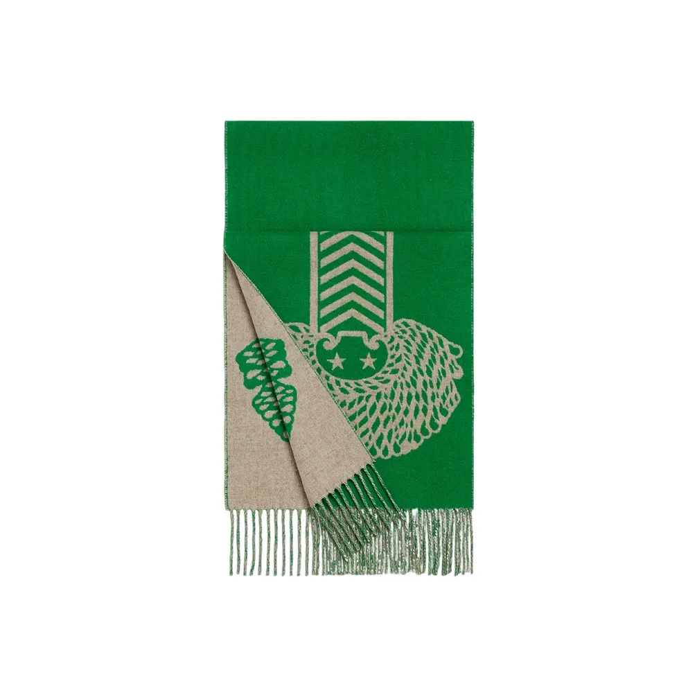 HERMES Casaque Hot Wire Scarf Women's Green