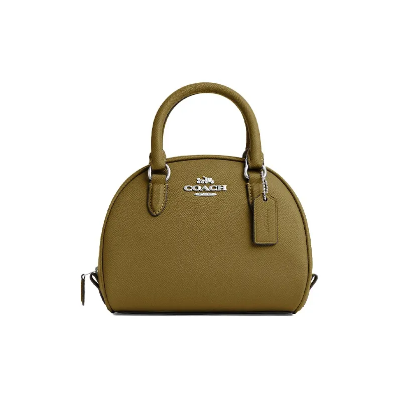 COACH Sydney Крестообразная текстура кожа купольная сумка сумка через плечо маленькая сумка женская умбра