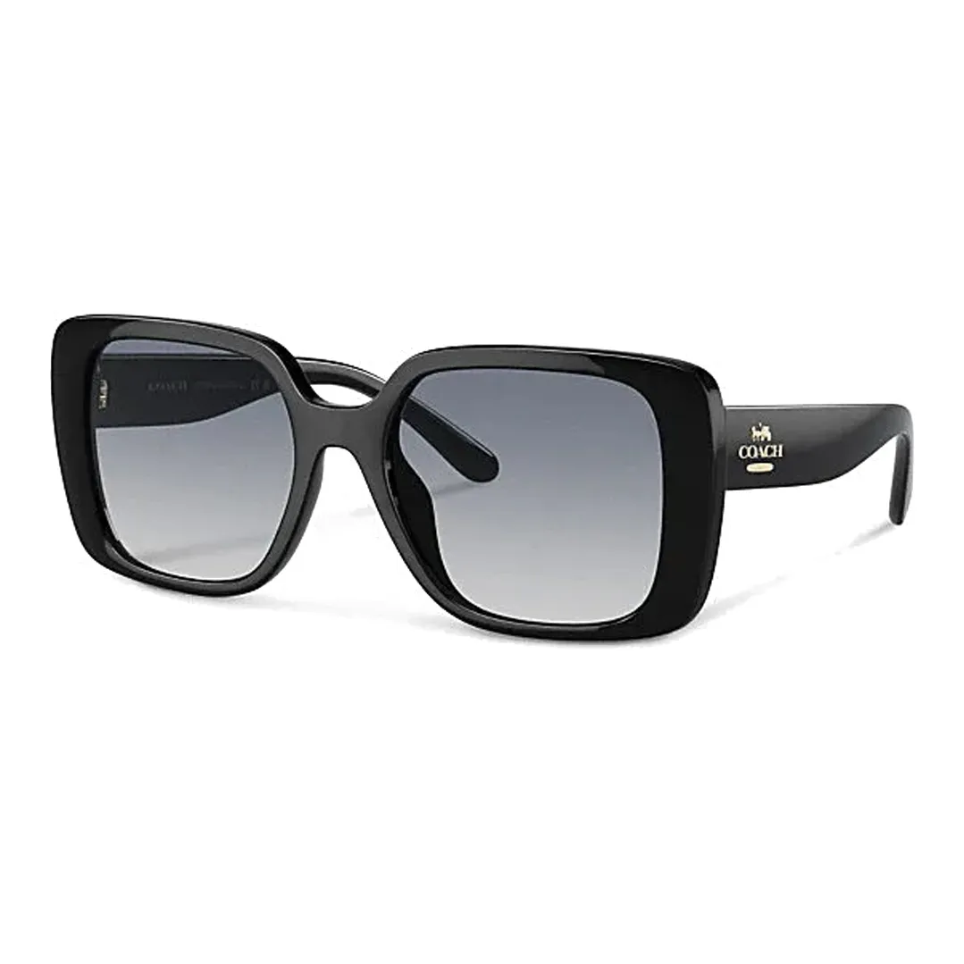 COACH Plate Frame Irregular Shape Sunglasses Women's Black