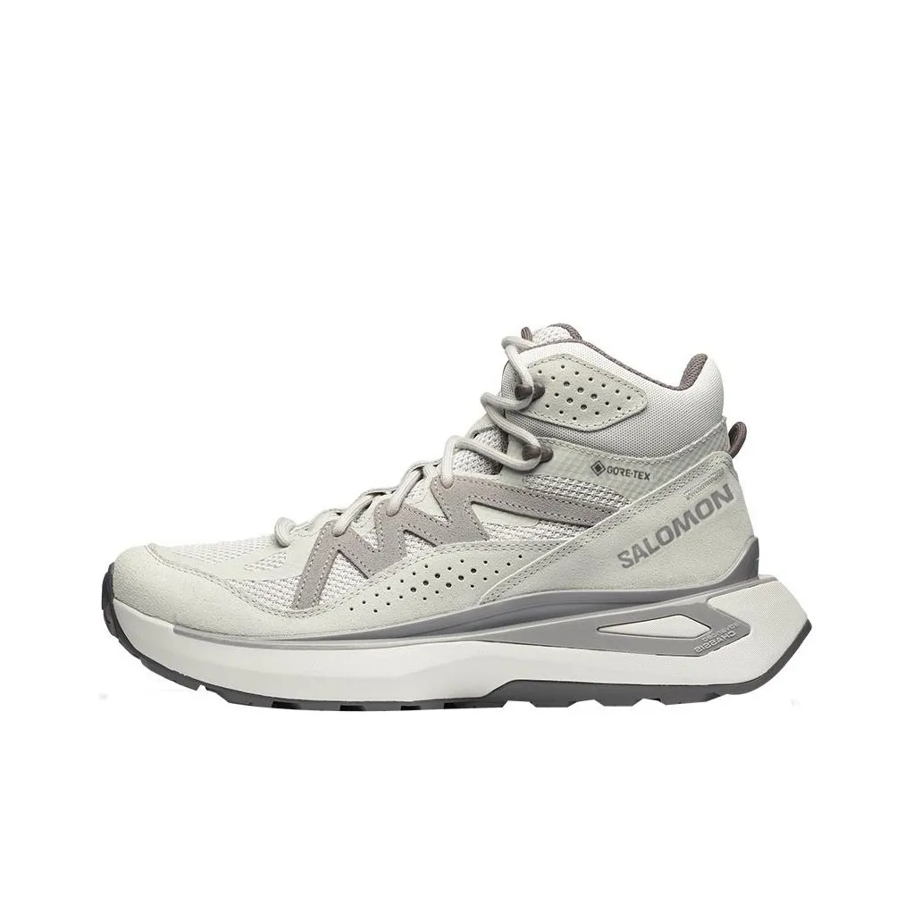SALOMON Odyssey ELMT Mid GORE-TEX 'Metal Plum Kitten'