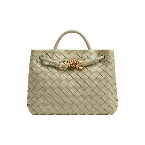 Bottega Veneta Andiamo series Сумки Женские