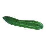 플러시 오이 26cm