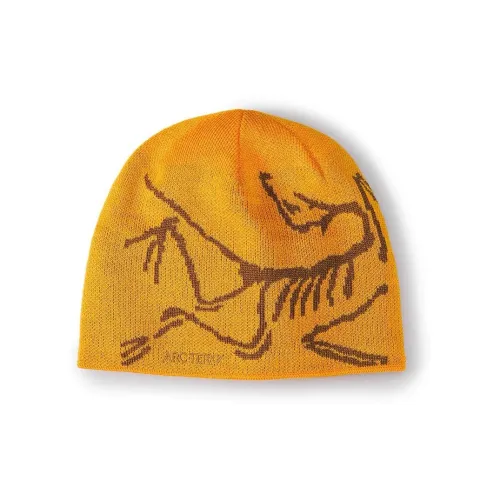 Arcteryx Шапки-бини Унисекс