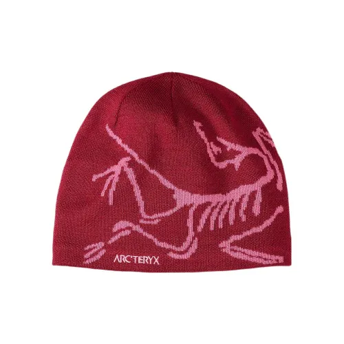 Arcteryx Шапки-бини Унисекс