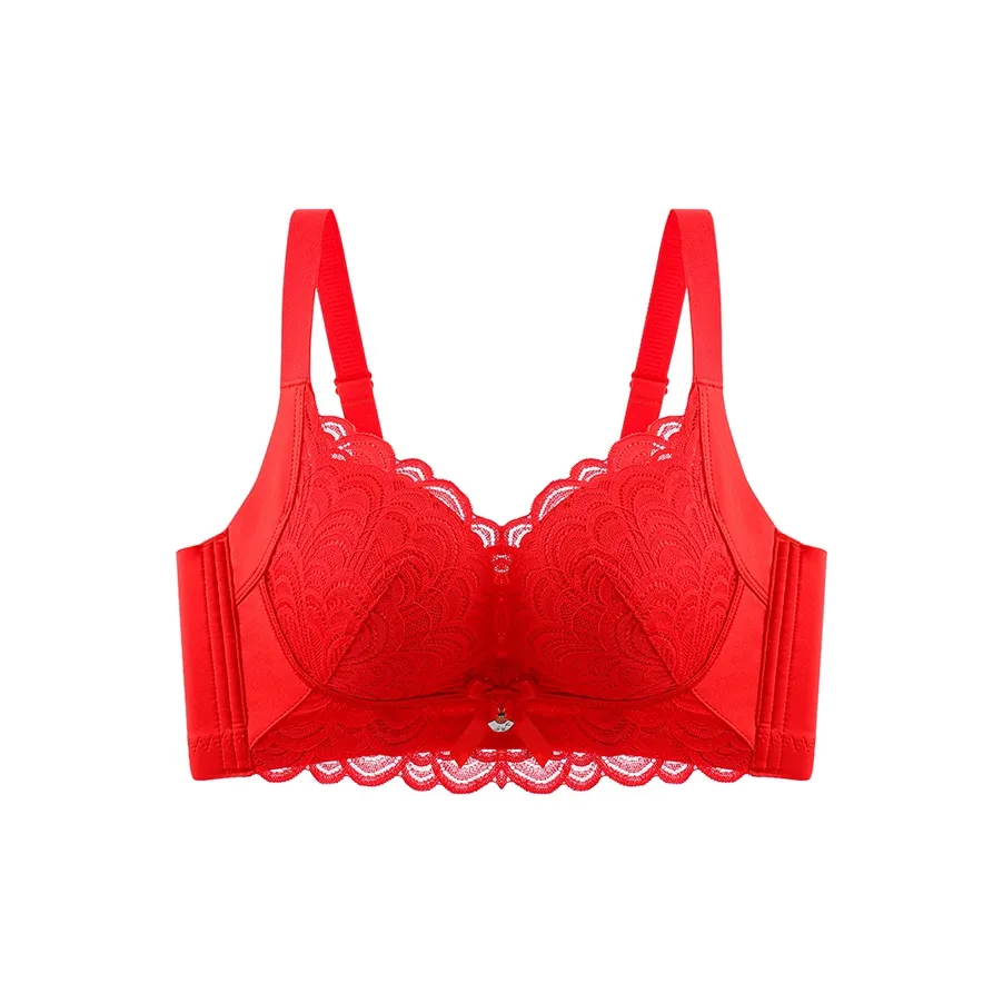 Lanza Women's Bras