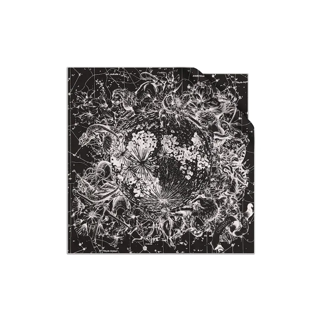 DIOR Шелковые шарфы Женские Черный