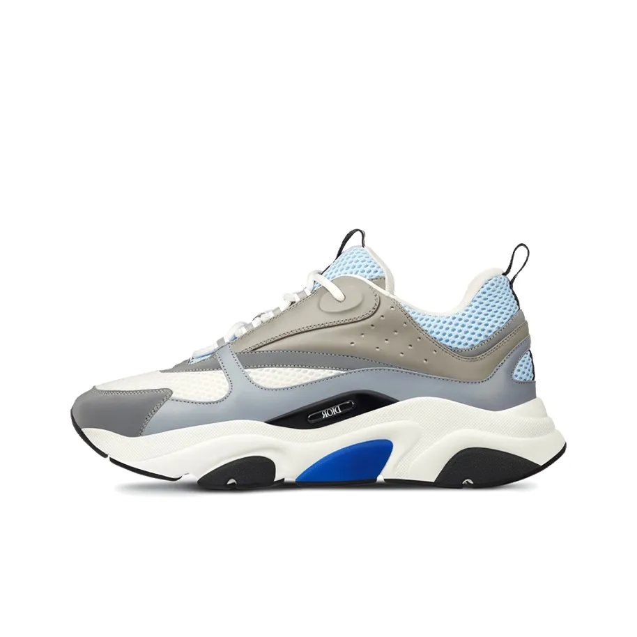DIOR B22 White Blue