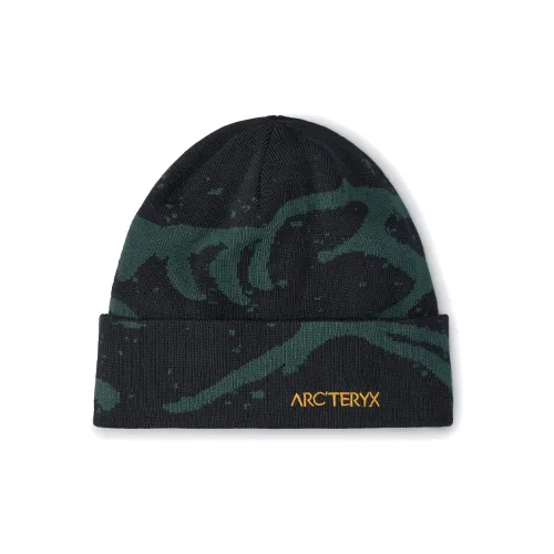 Arcteryx Эластан Шапки-бини Унисекс