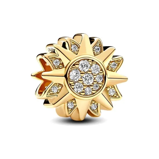 Pandora Charms / Pendants Women's Gold