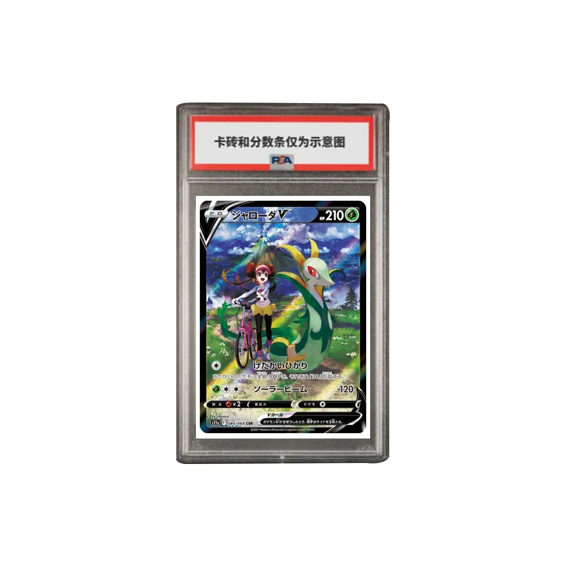 Pokemon Graded Cards