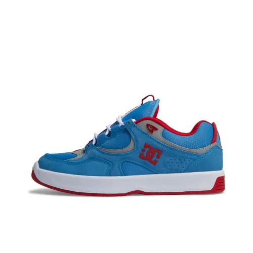DC Shoes Кроссовки для скейтбординга Low Top Унисекс